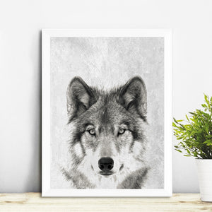 Wolf Canvas Print