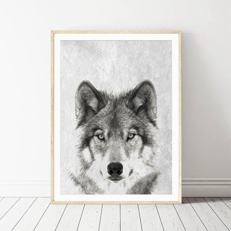 Wolf Canvas Print