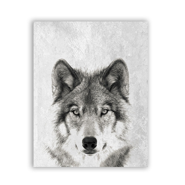 Wolf Canvas Print